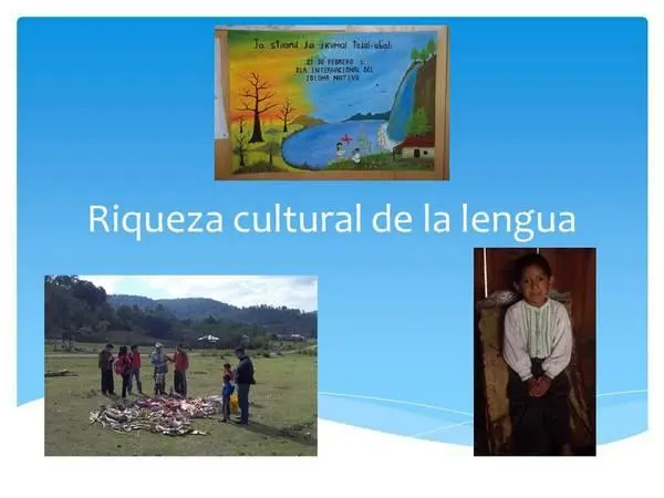 Riqueza de la lengua.jpg