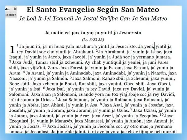 El evangelio de Mateo.jpg